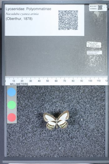 Media type: image;   Entomology 66902